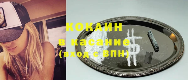 прущие грибы Алексеевка