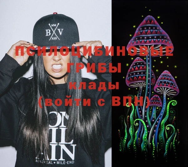 дмт Карпинск